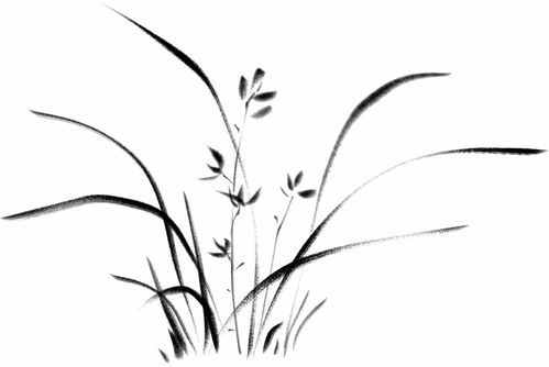 水韵吴忠，诗画田园 精品乡村游打卡点合集