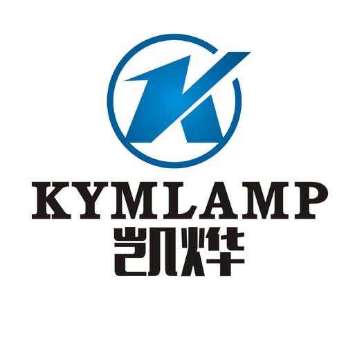 LED点光源生产厂 烨游网络——点亮智慧城市的每一处细节